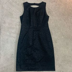 Brand New H&M Dress Size 10 Midi